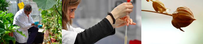 Doble grado en Biotecnolog�a + Ingenier�a Agroalimentaria y del Medio Rural