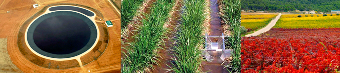 Doble M�ster Universitario en Ingenier�a Agron�mica + Sanidad y Producci�n Vegetal