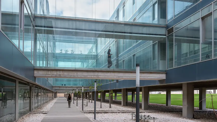 Imagen representativa de Estructures de suport a la investigació