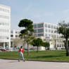 Universidad Polit�cnica de Valencia